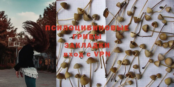 PSILOCYBIN Бородино