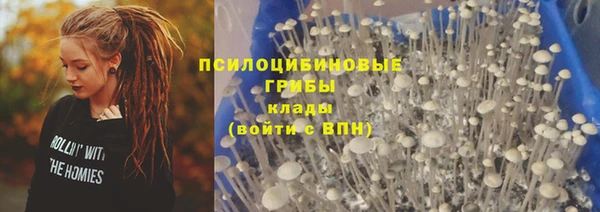 первитин Верхний Тагил