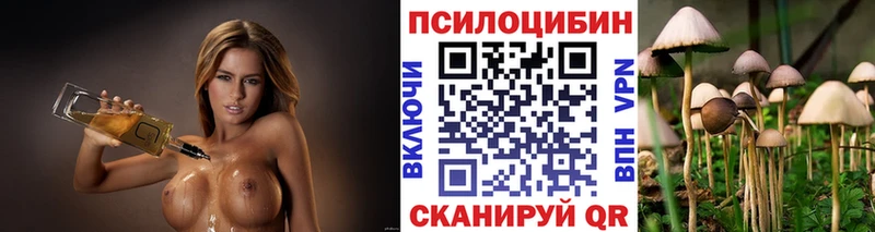 Галлюциногенные грибы Psilocybe  Кириши 